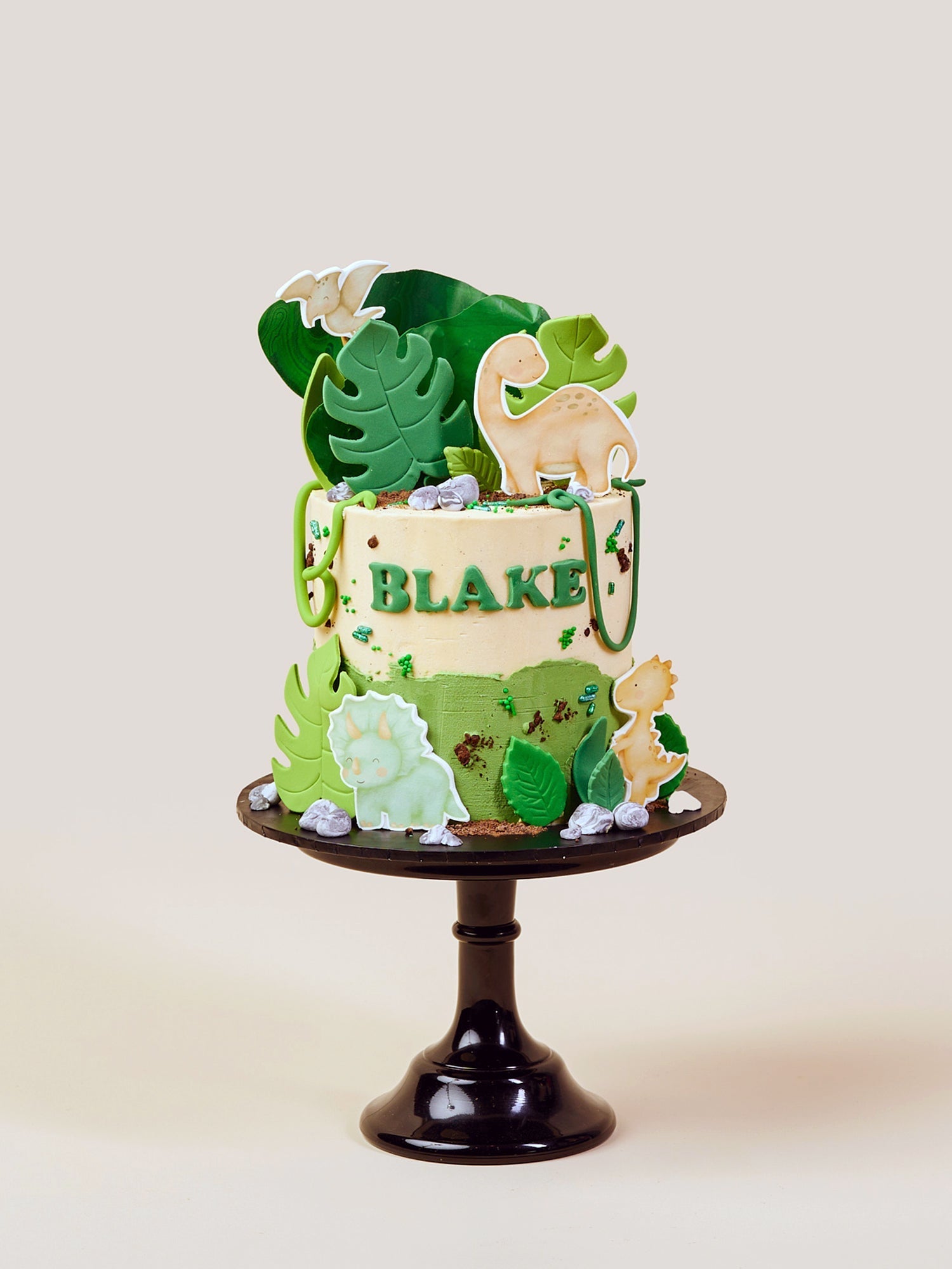 Dinosaur & Jungle Cakes